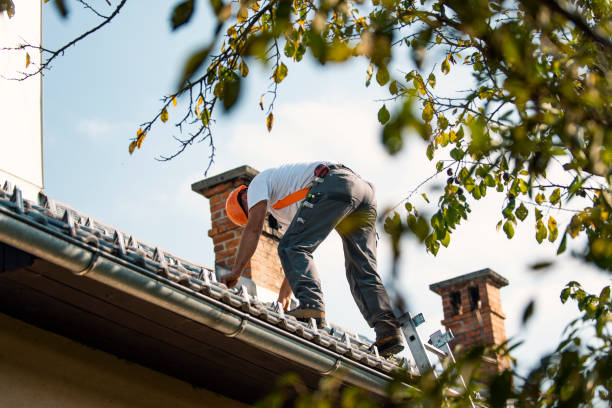 Roof Gutter Cleaning in Casa Conejo, CA